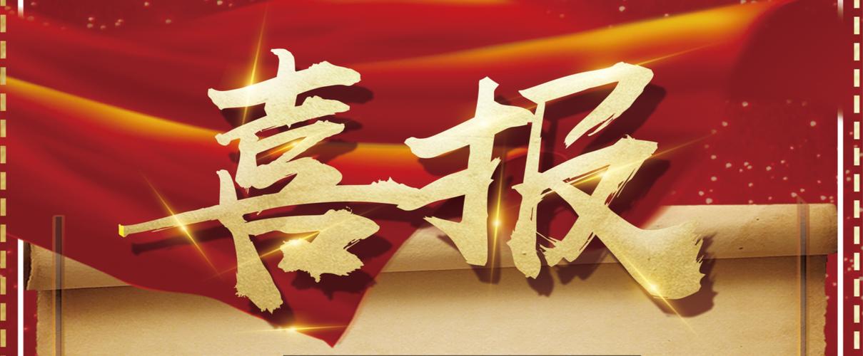 蜘蛛池外链发布